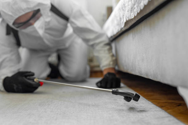 Professional Termite Control technician working in Clayton, NM